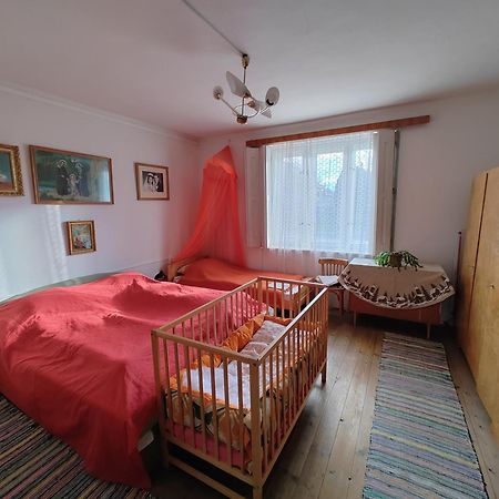 Гостьовий будинок Vinyl House Strekov Екстер'єр фото