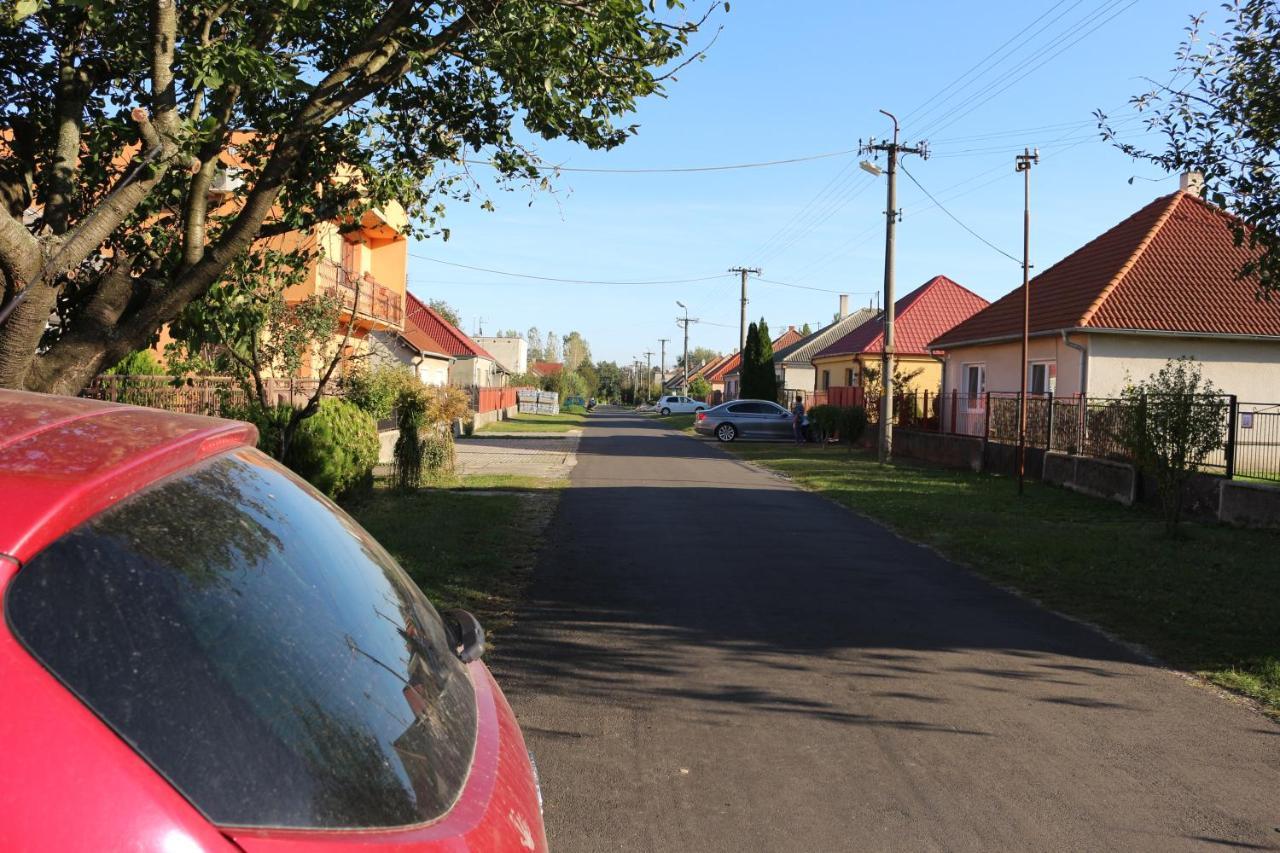 Гостьовий будинок Vinyl House Strekov Екстер'єр фото